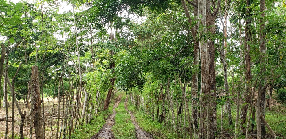 Land for Sale in Panama City Panamá Province 07019